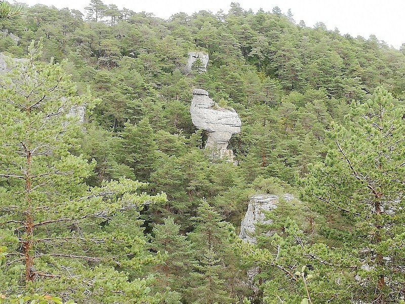 La poule de Houdan