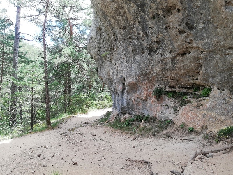 Le chemin des arcs