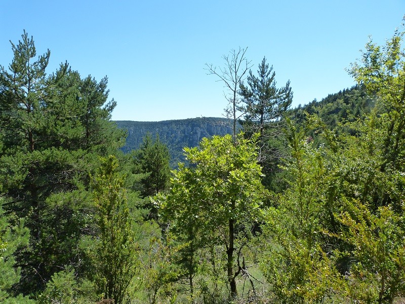 Les gorges au loin