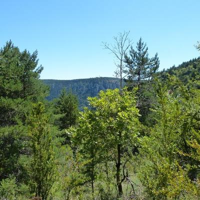 Les gorges au loin