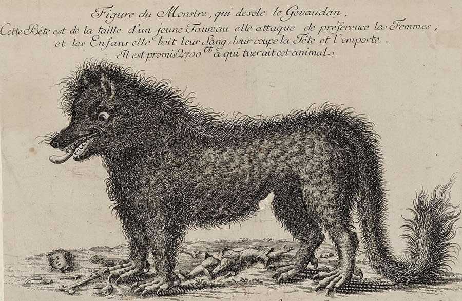 Bete du gevaudan