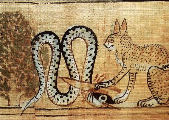Chat et serpent