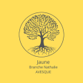 Jaune branche nathalie avesque