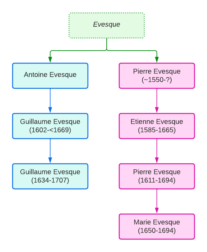 Lignée Evesque
