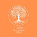 Orange branche joseph boulet