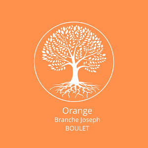 Orange branche joseph boulet