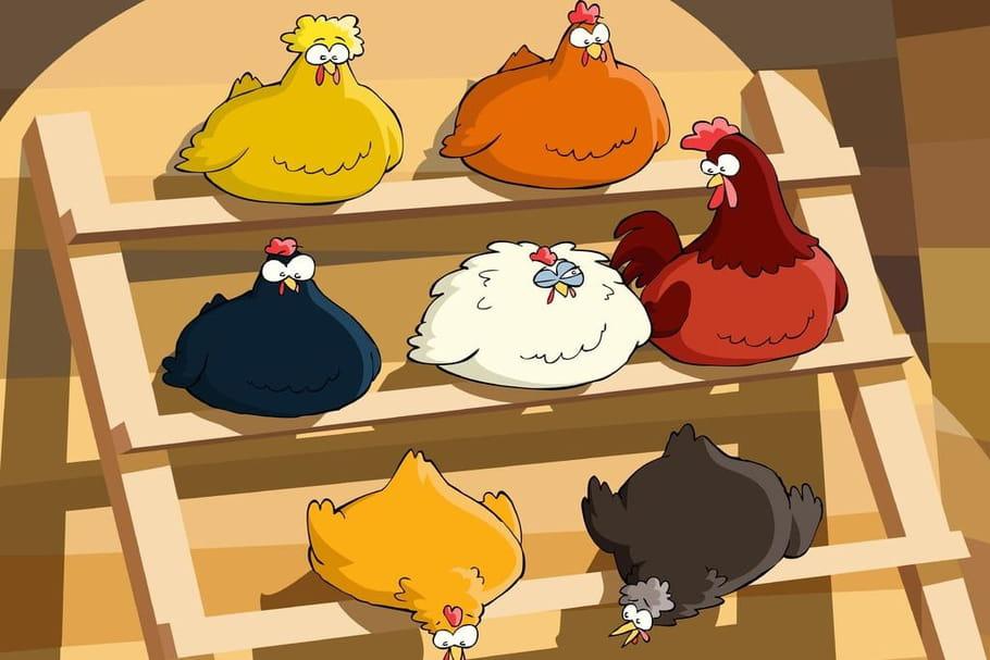 Poules