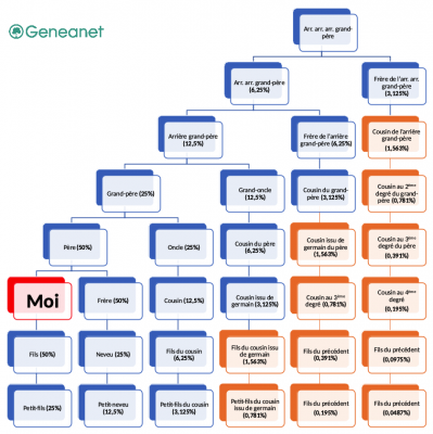 Tableau parentes adn