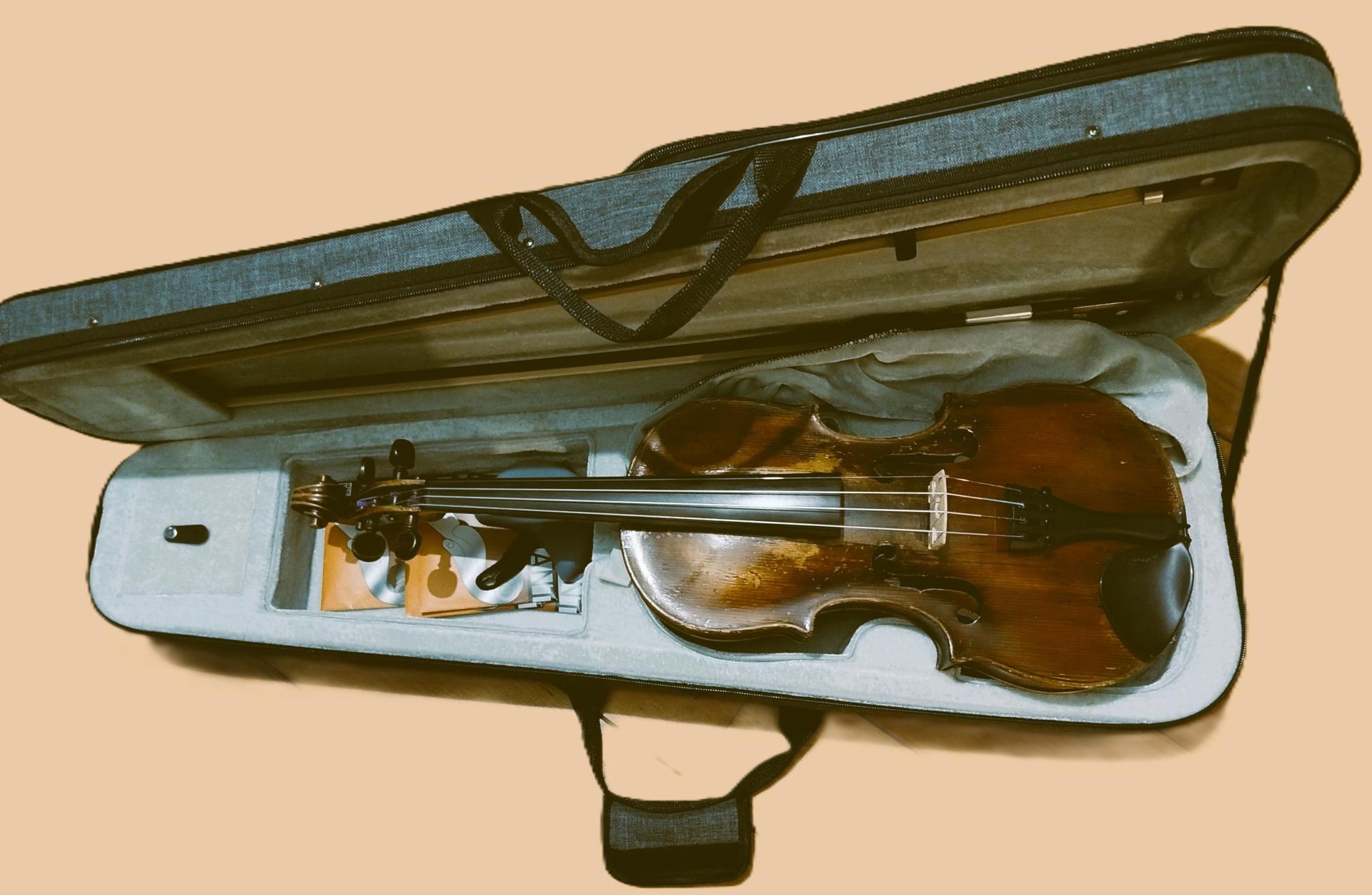 Violon